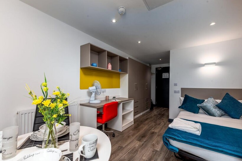 Large Suite Studio, Opto Village... 1 bed in a flat share to rent - £770 pcm (£178 pw)