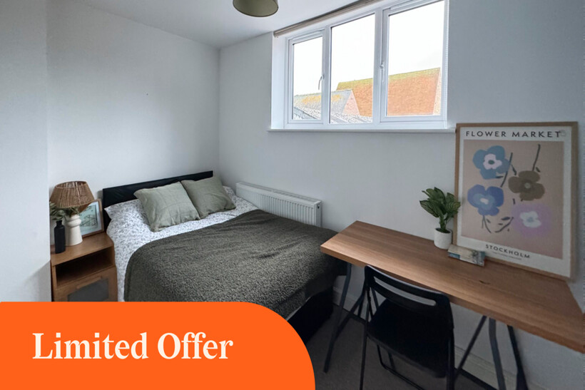 Group 1000004216.png