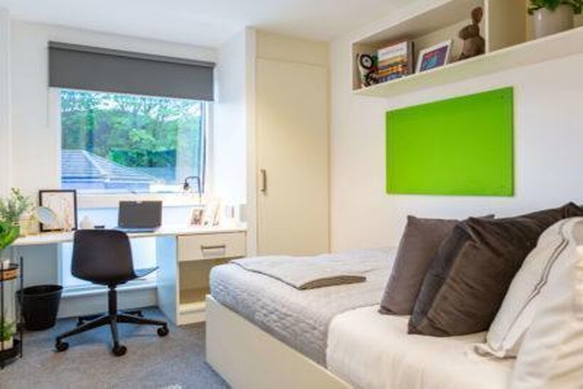 54 Hollingdean Road, Brighton BN2 1 bed in a flat share to rent - £1,018 pcm (£235 pw)