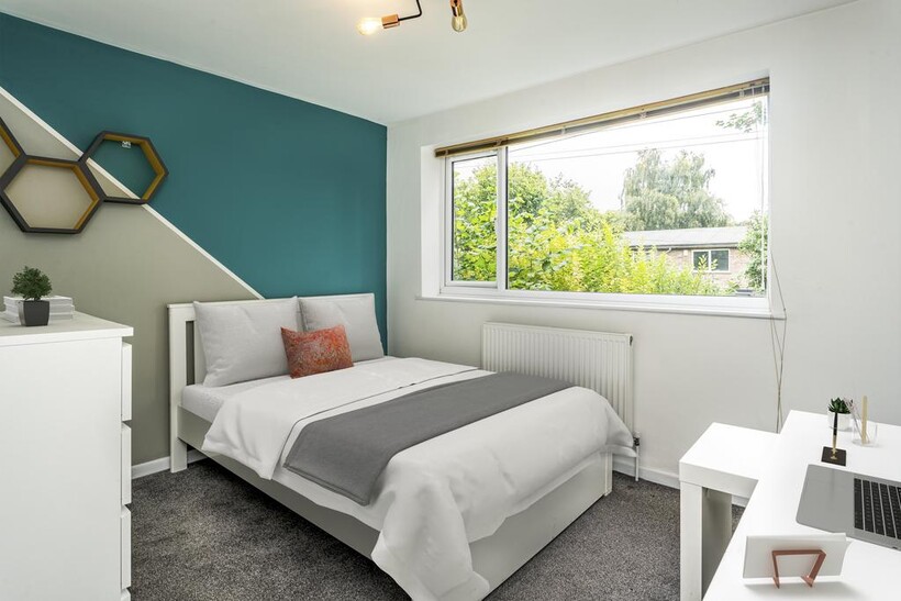 5 forsythia garden (