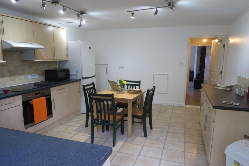 A bright and clean kitchen featuring a compact ...