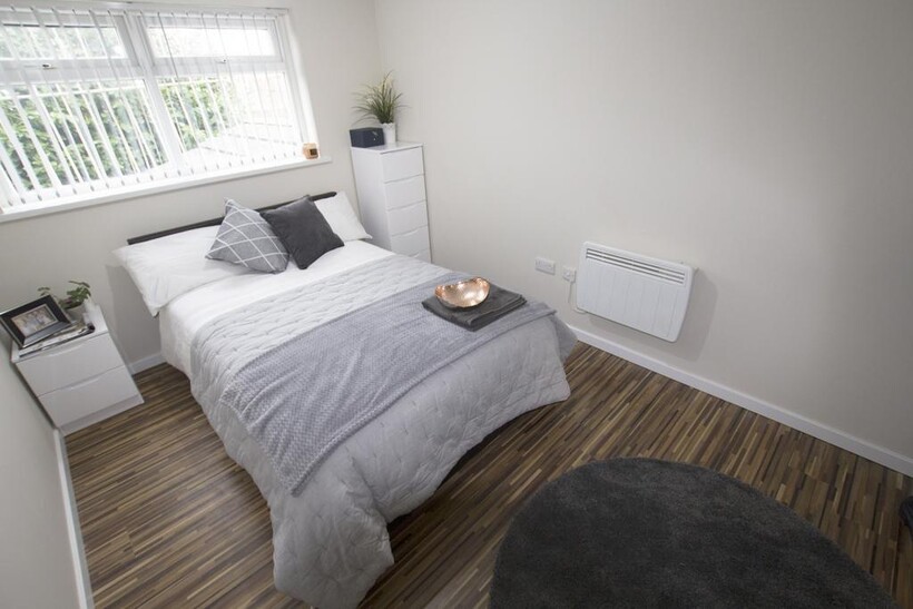 A bright, spacious master bedroom featuring a c...