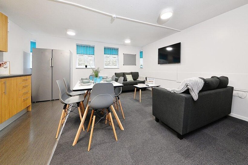 A modern, spacious living room featuring comfor...