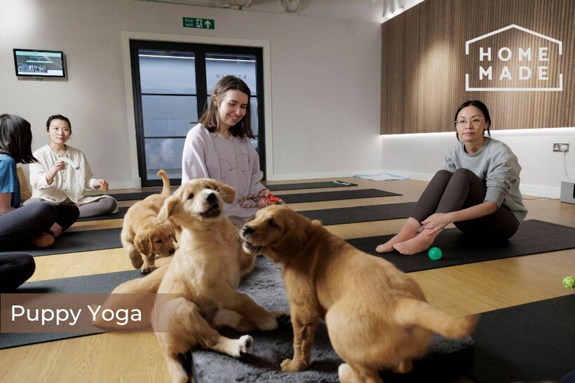 Ddf6f1904e0a0922cf0216336cc0