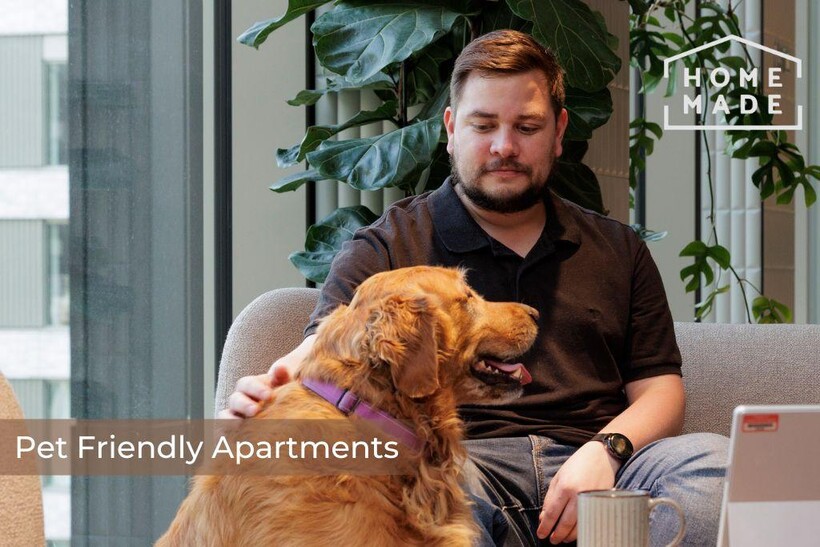 82b9a9791e8c1deeda3c0bd45bc8