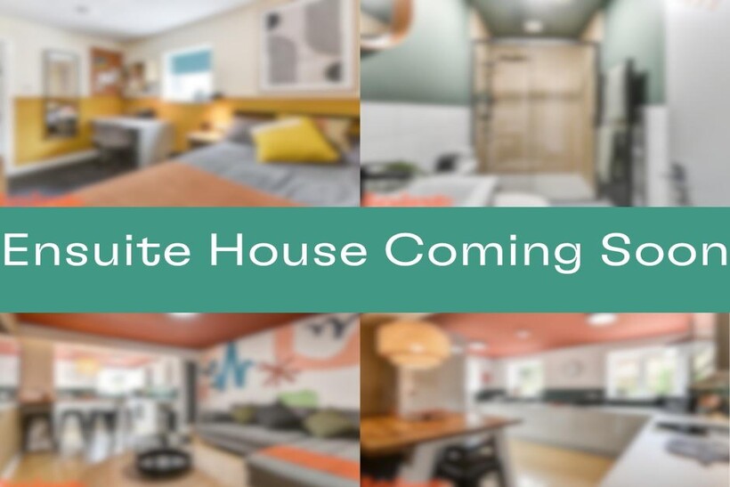 Bright, modern communal lounge with contemporar...